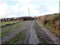 Ffordd fynedfa Llwynbrain / Llwynbrain access road