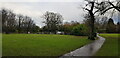 Pond, Rowheath Playing Fields