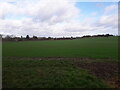 Footpath near Thaxted