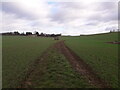 Footpath through a field near Thaxted