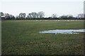 Footpath across a field