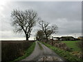 Fen Lane, Barnby in the Willows