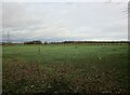 Grass field near Moorhouse