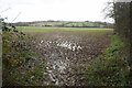 Muddy field entrance