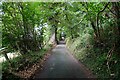 SJ2538 : Offa's Dyke Path at Ty Brickly by Jeff Buck
