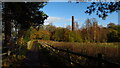 Path leading to former Cheadle Bleach Works, Cheadle