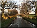 Flooded road near Unthank