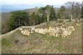 Former quarry on Cleeve Hill