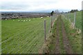 Footpath above Bishop