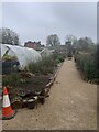 Glimpse into the walled garden at Llanfrechfa Grange near Cwmbran