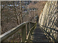 Steps down to railway bridge, Langlee