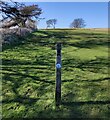 SO9825 : Marker post along the Cotswold Way by Mat Fascione
