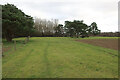 Bridleway by Lakenheath Warren