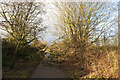 A fallen tree blocking the Nidderdale Greenway near Bilton, Harrogate