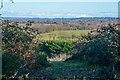 Milverton : Countryside Scenery