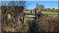 Start of footpath from Fox Farm to Chilton Grove