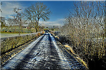 H5069 : Winter shadows along Lisboy Road by Kenneth  Allen