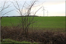 TL2464 : Field by Offord Road, Duck End by David Howard