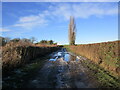 SK5676 : Potholes and ice, Broad Lane by Jonathan Thacker