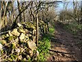 SP0225 : Path and woodland towards the Belas Knap Long Barrow by Mat Fascione