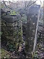 Stone Stile, Minchinhampton