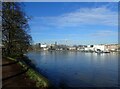 View from the Thames Path at Kew