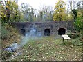 Knowle Quarry Lime Kilns