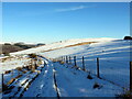 Tuag at Gwm Cothi / Towards Cwm Cothi