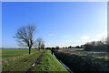 The Cross Britain Way following Swatton Eau near Bridge end