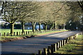 Roe Downs Road at Medstead Green