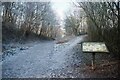 The Stockley Trail near Peter Fidler Nature Reserve