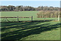 Farmland north of Ashley Road