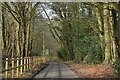 Woodcote Lane near Ower Farm