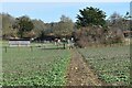 Footpath towards Belmore Cottage