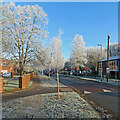 Walpole Road: a hard frost