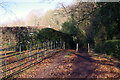 Path through Sandfield Wood