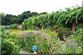 Walled garden at Norton Priory