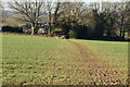 Footpath across field