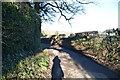 Lane to Ashurst Church