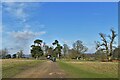 Sevenoaks, Knole Park