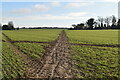 Footpath across field