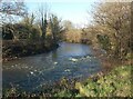 A bend in the River Ogmore at the western edge of Bridgend