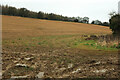 Arable field near Southfield