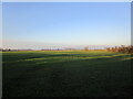 Autumn sown crop, South Muskham