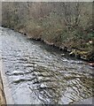 Downstream along the Ebbw, Llanhilleth