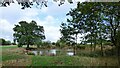 Pond at Plex Farm