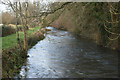 One of several channels of the River Test, north of Mill Lane