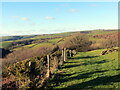 Llwybr i Dafarn y Cwm / Path to Tafarn y Cwm