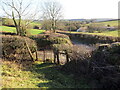 Llwybr yn cyrraedd yr heol / Path approaching the road