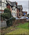 Dog-shaped topiary, Carlton Terrace, Crosskeys